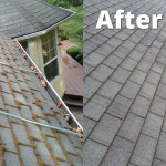 Asphalt-Roof-Cleaning-chicago il