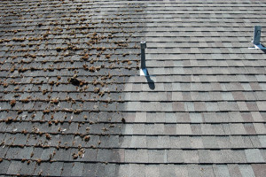 roof power washing cleaning company chicago il